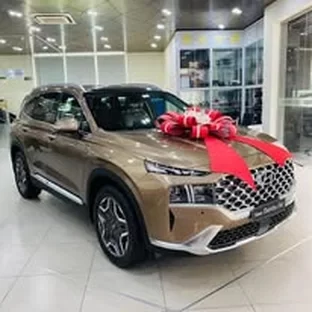 hoạt động Hyundai Ninh Thuận 20656